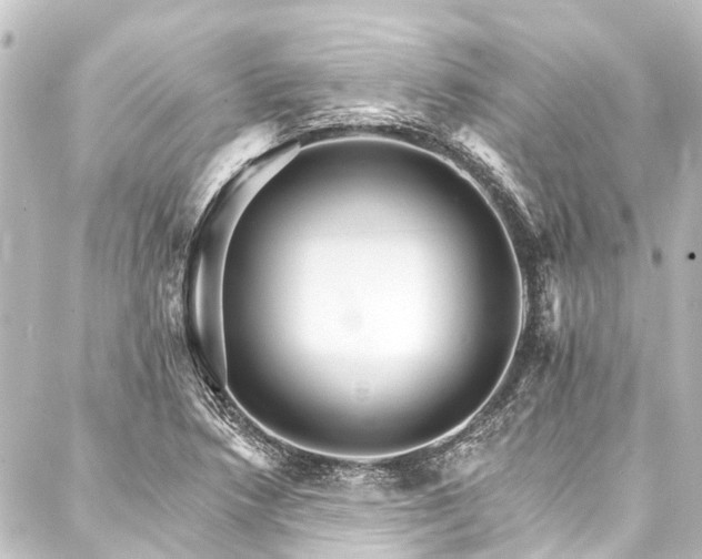 X0000088201218200705151304