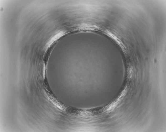 X0000088201219200705151304