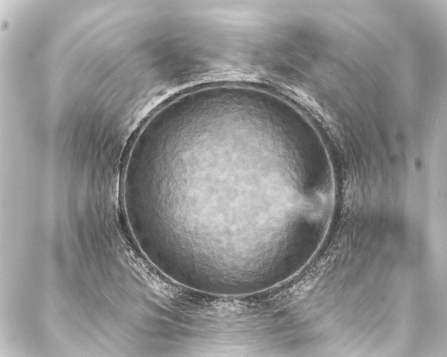 X0000088201220200705151304