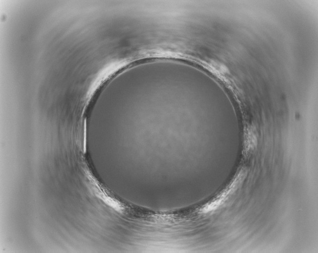 X0000088201223200705151304