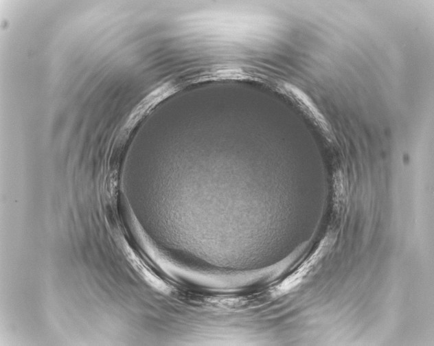 X0000088201225200705151304