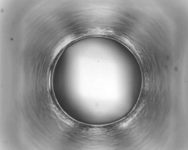 X0000088201227200705151304