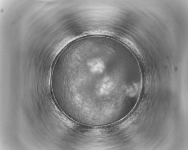 X0000088201228200705151304