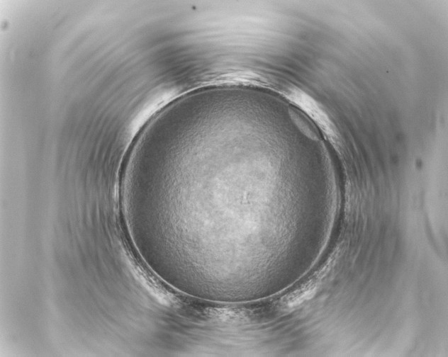 X0000088201234200705151305