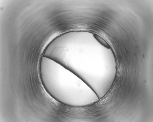 X0000088201243200705151305