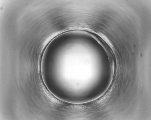 X0000088201246200705151305