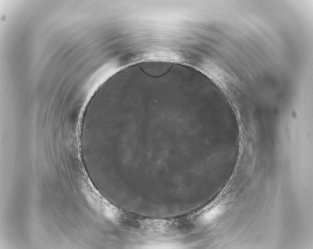 X0000088201248200705151305
