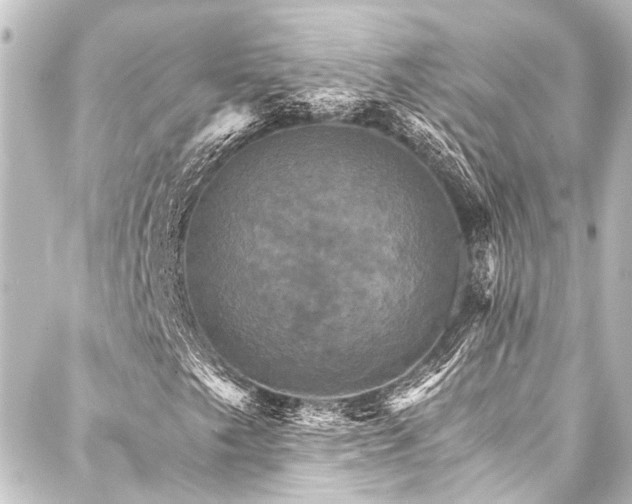 X0000088201249200705151304