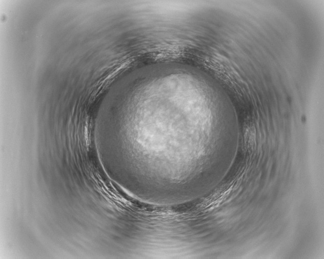 X0000088201250200705151304