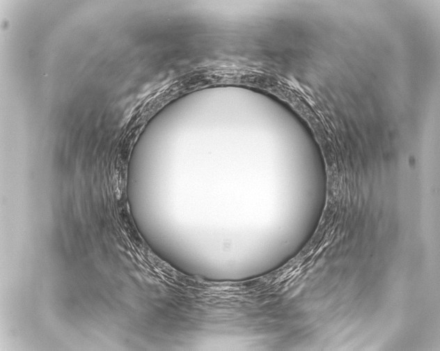 X0000088201253200705151304