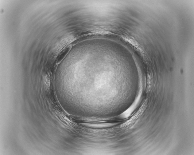 X0000088201257200705151304