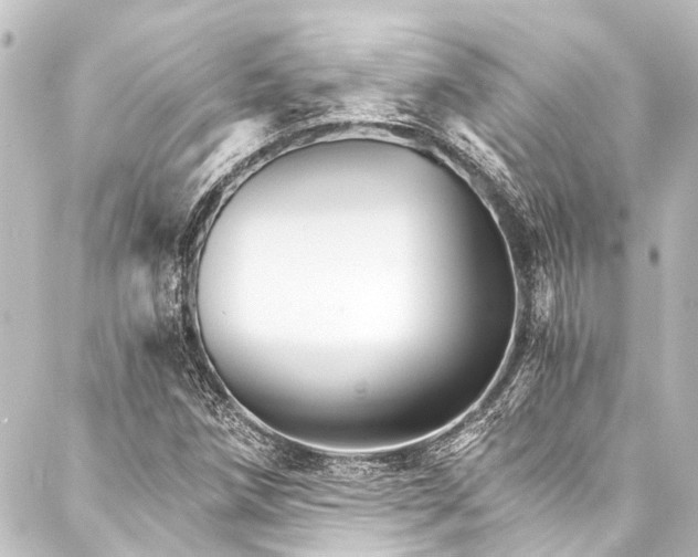 X0000088201258200705151304