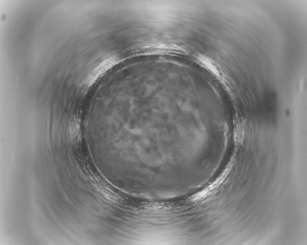 X0000088201259200705151304