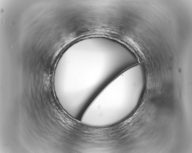 X0000088201260200705151304
