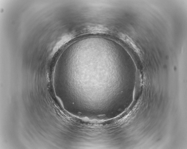 X0000088201261200705151304