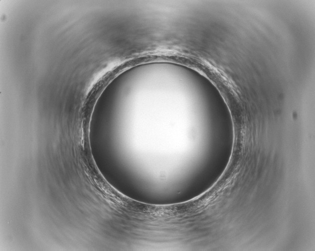 X0000088201262200705151304