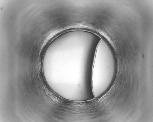 X0000088201270200705151304