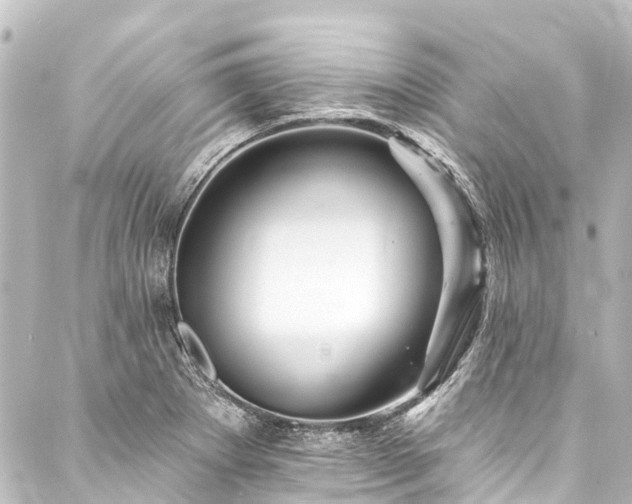 X0000088201273200705151304