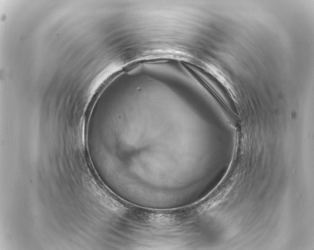 X0000088201275200705151304