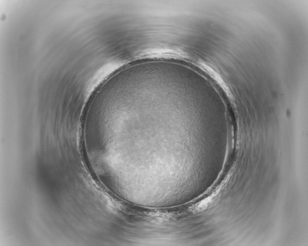 X0000088201277200705151304