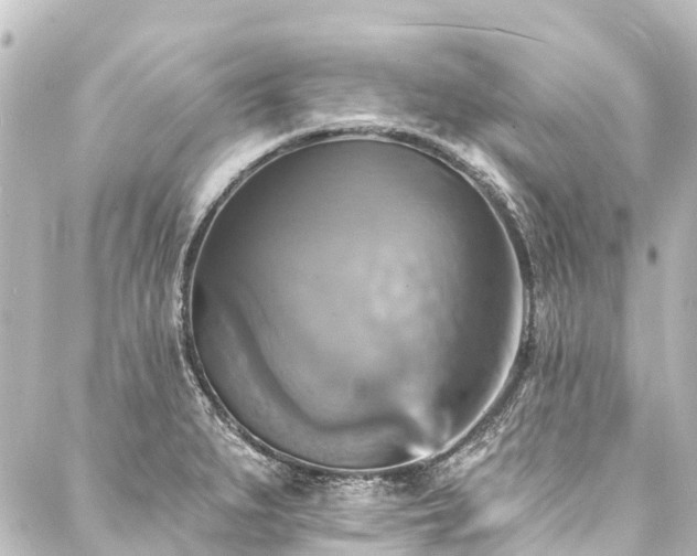 X0000088201279200705151303