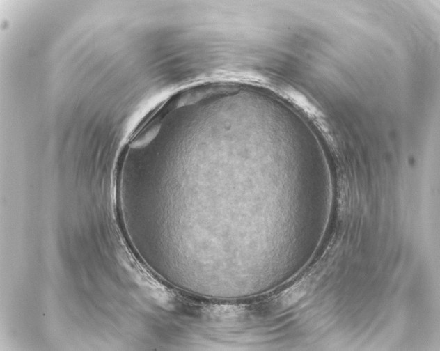 X0000088201280200705151303