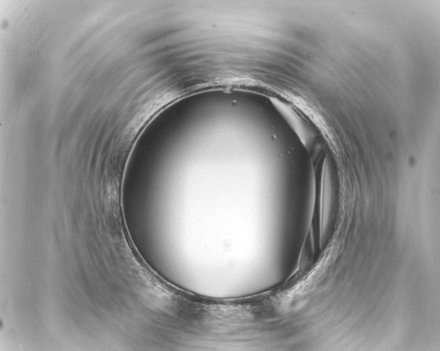 X0000088201281200705151303