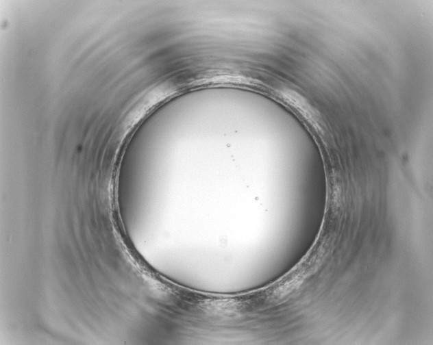 X0000088201282200705151303