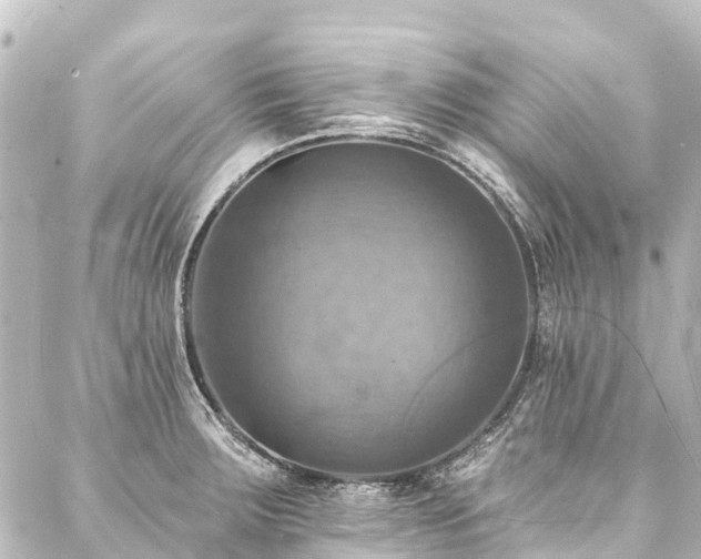 X0000088201283200705151303