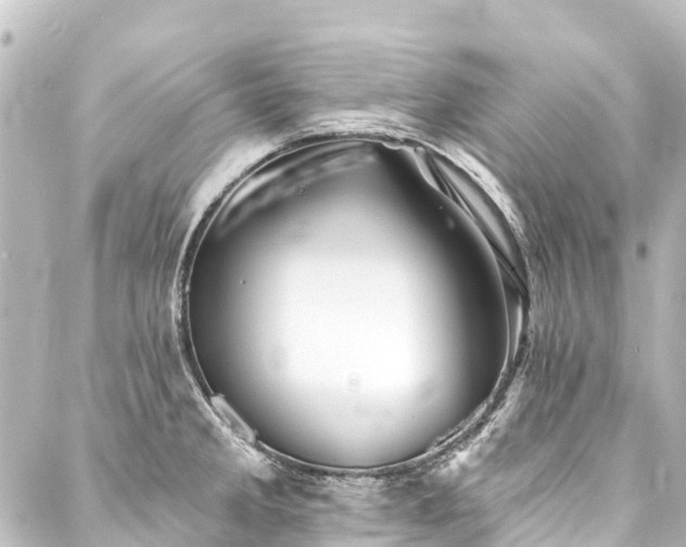 X0000088201285200705151303