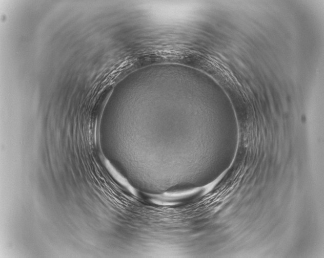 X0000088201298200705151302