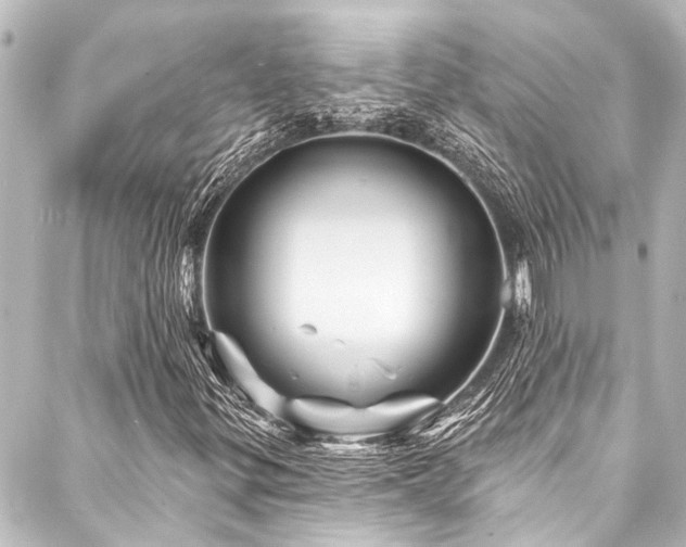X0000088201299200705151302