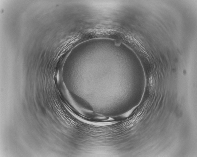 X0000088201300200705151302