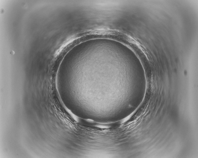 X0000088201304200705151303