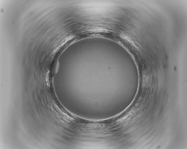 X0000088201305200705151303