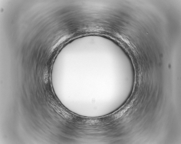 X0000088201306200705151303