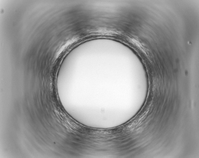 X0000088201307200705151303