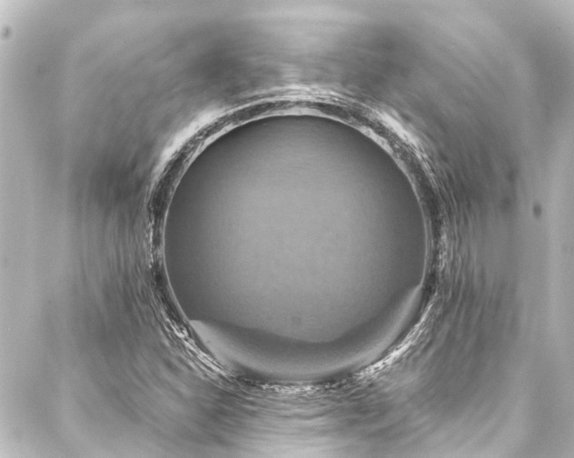 X0000088201310200705151303