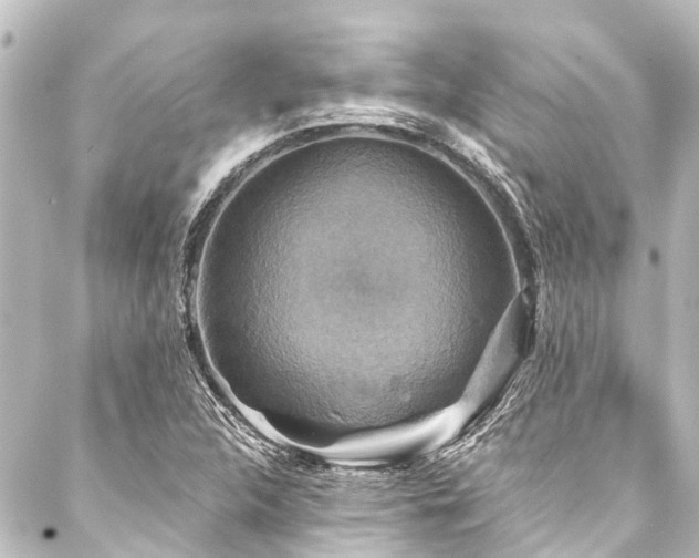 X0000088201312200705151303