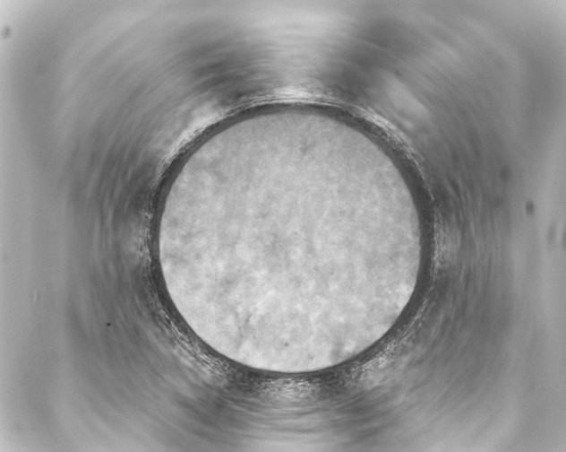 X0000088201314200705151303