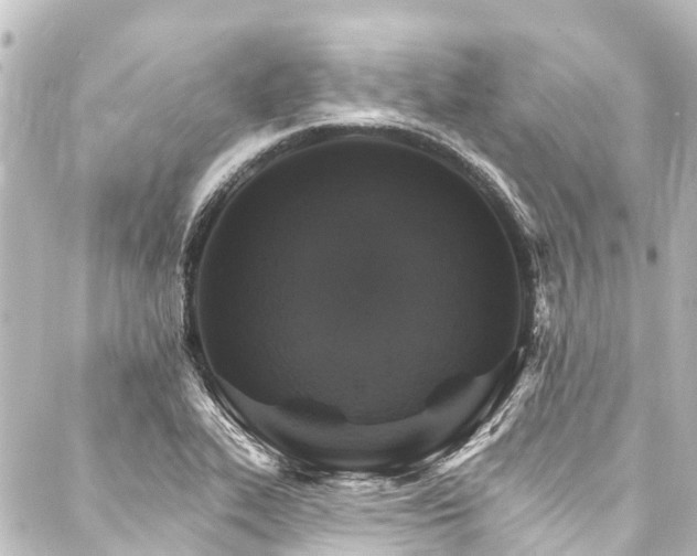 X0000088201319200705151303