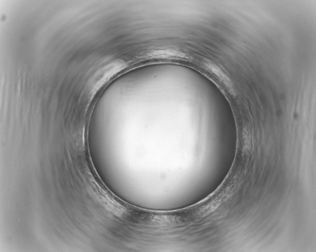 X0000088201322200705151303