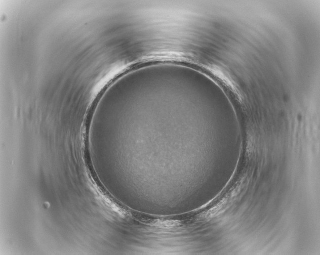 X0000088201325200705151303