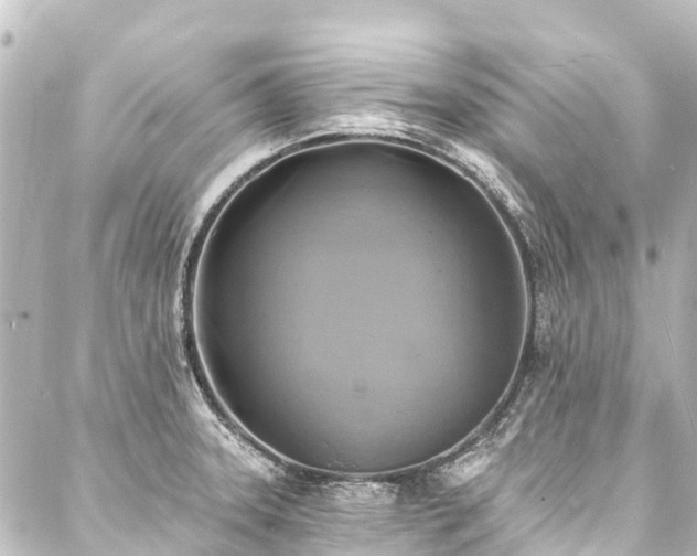 X0000088201331200705151303