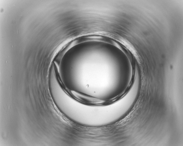 X0000088201332200705151303