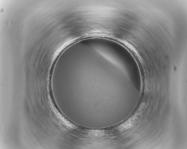 X0000088201333200705151303