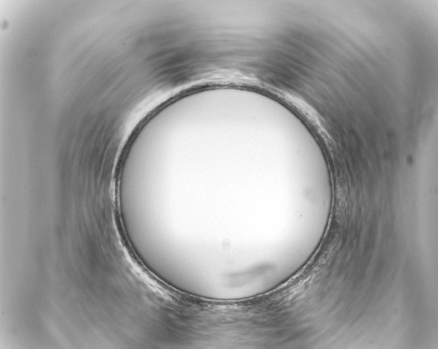 X0000088201335200705151303