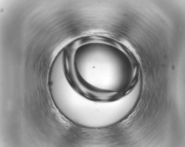 X0000088201336200705151303