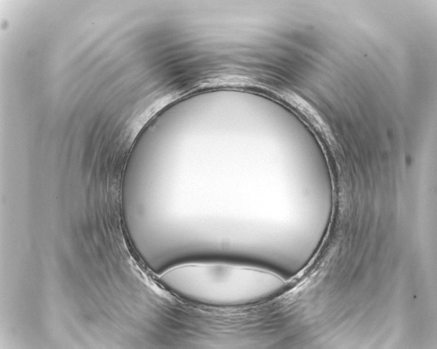 X0000088201337200705151303