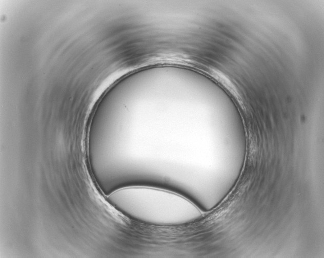 X0000088201339200705151303